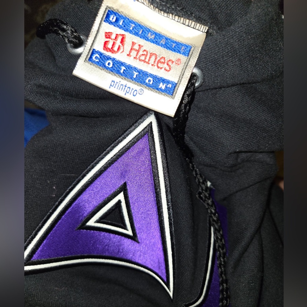 Vintage Hanes hoodie